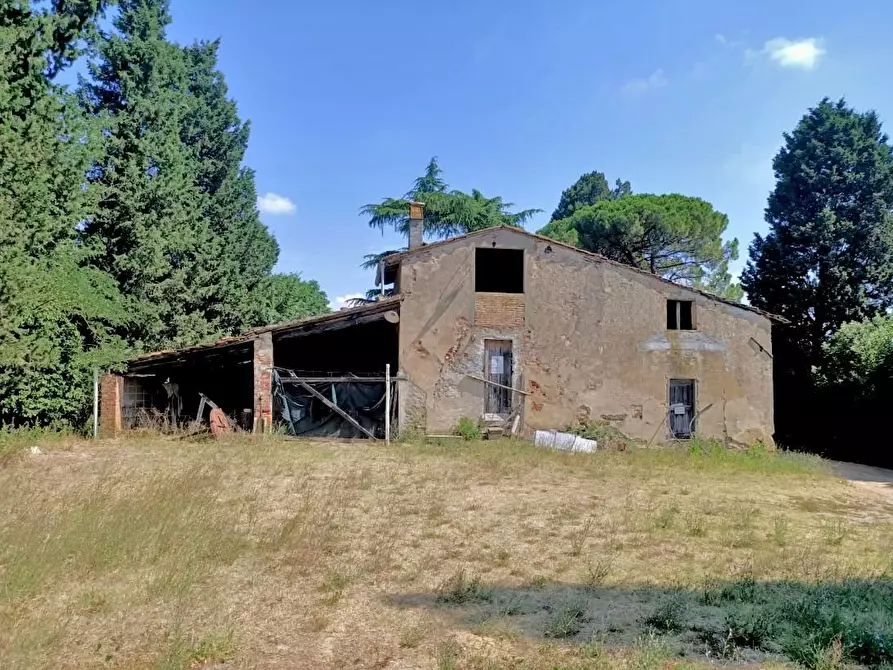 Immagine 17 di Rustico / casale in vendita  a Empoli
