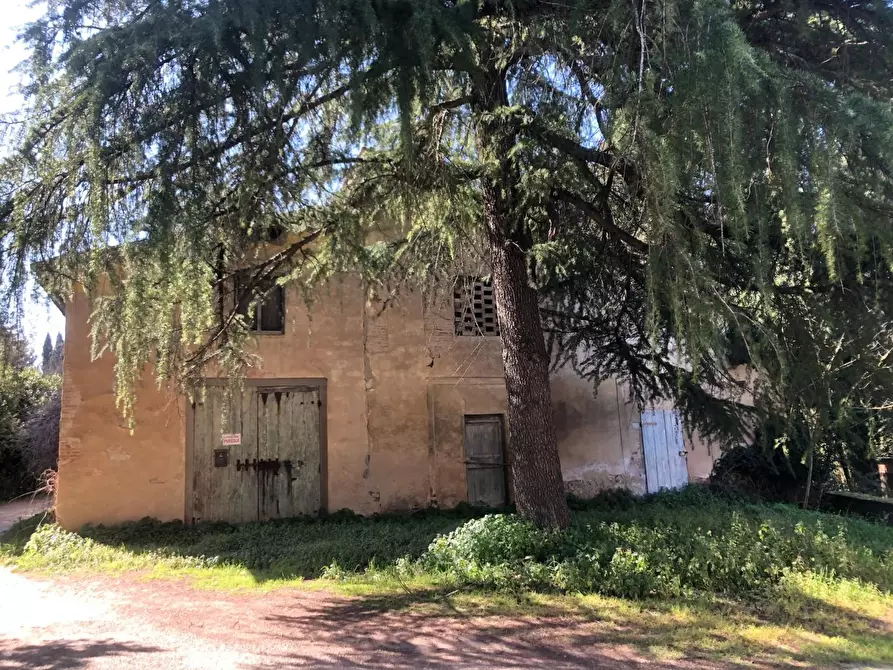 Immagine 3 di Rustico / casale in vendita  a Empoli