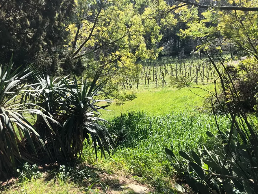 Immagine 10 di Rustico / casale in vendita  a Empoli