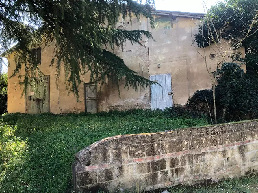 Immagine 4 di Rustico / casale in vendita  a Empoli