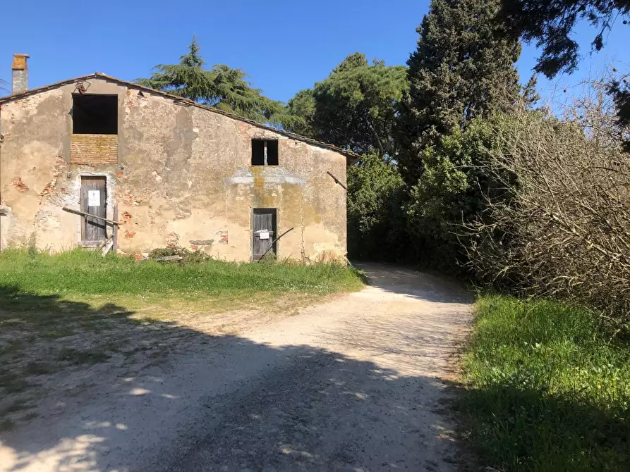 Immagine 5 di Rustico / casale in vendita  a Empoli
