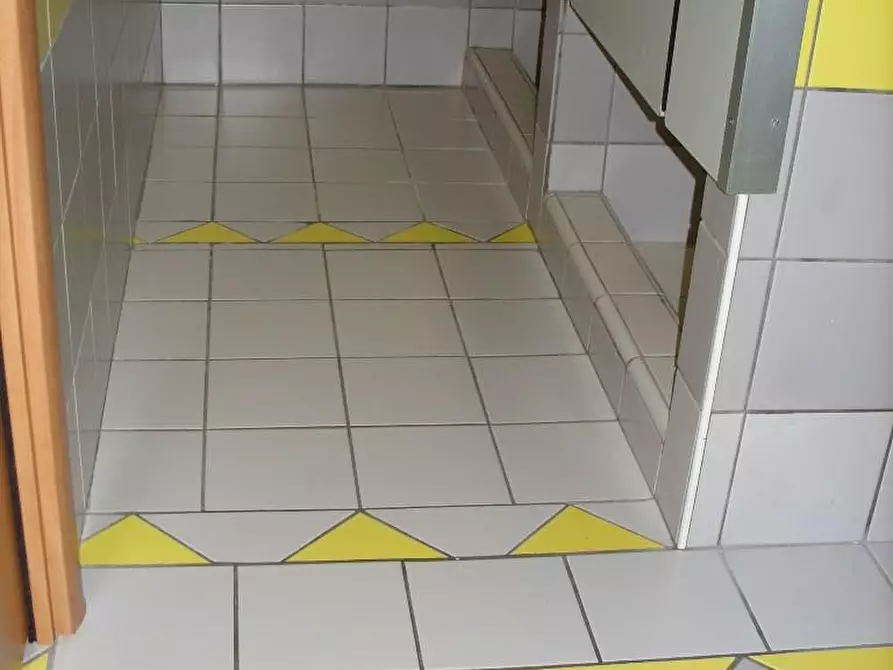 Immagine 60 di Capannone industriale in vendita  a Calcinaia