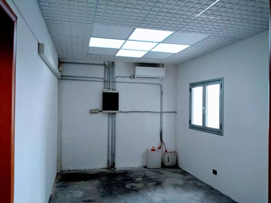 Immagine 5 di Capannone industriale in vendita  a Peccioli