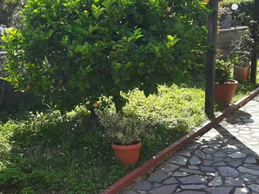 Immagine 4 di Casa indipendente in vendita  a Carrara