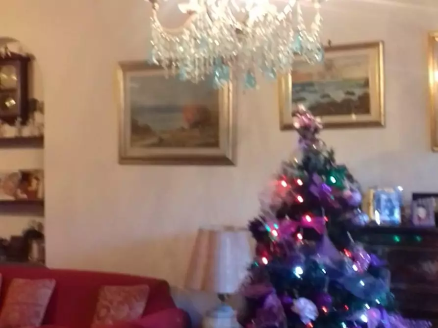 Immagine 19 di Appartamento in vendita  a San Giuliano Terme