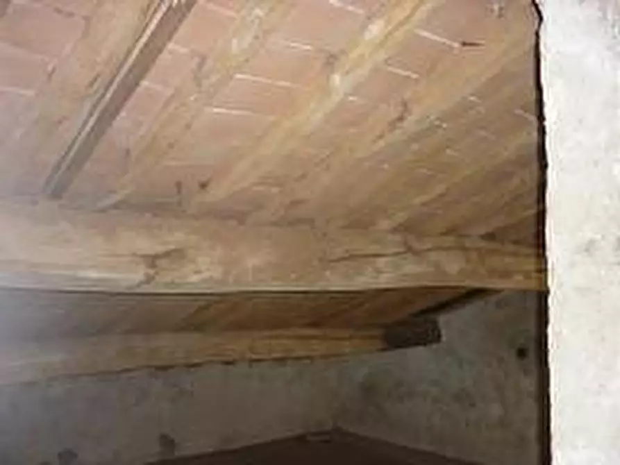 Immagine 32 di Casa colonica in vendita  a Cascina