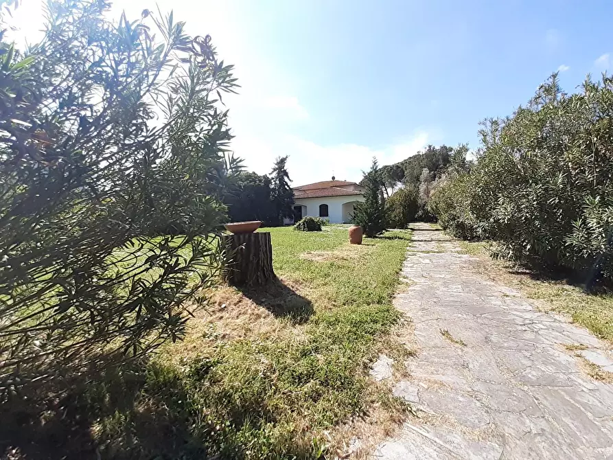 Immagine 3 di Villa in vendita  a Cascina