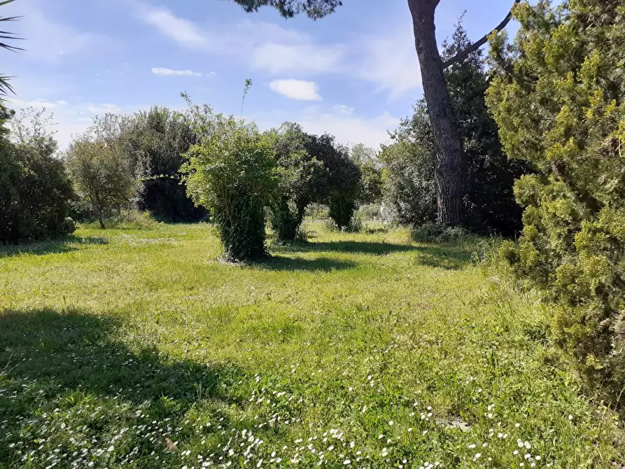 Immagine 7 di Villa in vendita  a Cascina