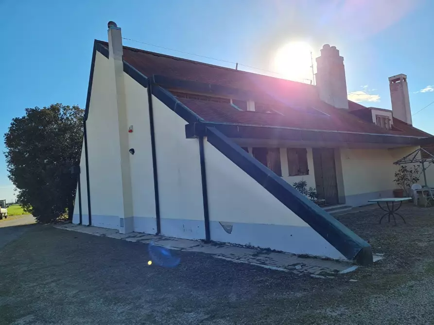 Immagine 5 di Appartamento in vendita  a Piombino