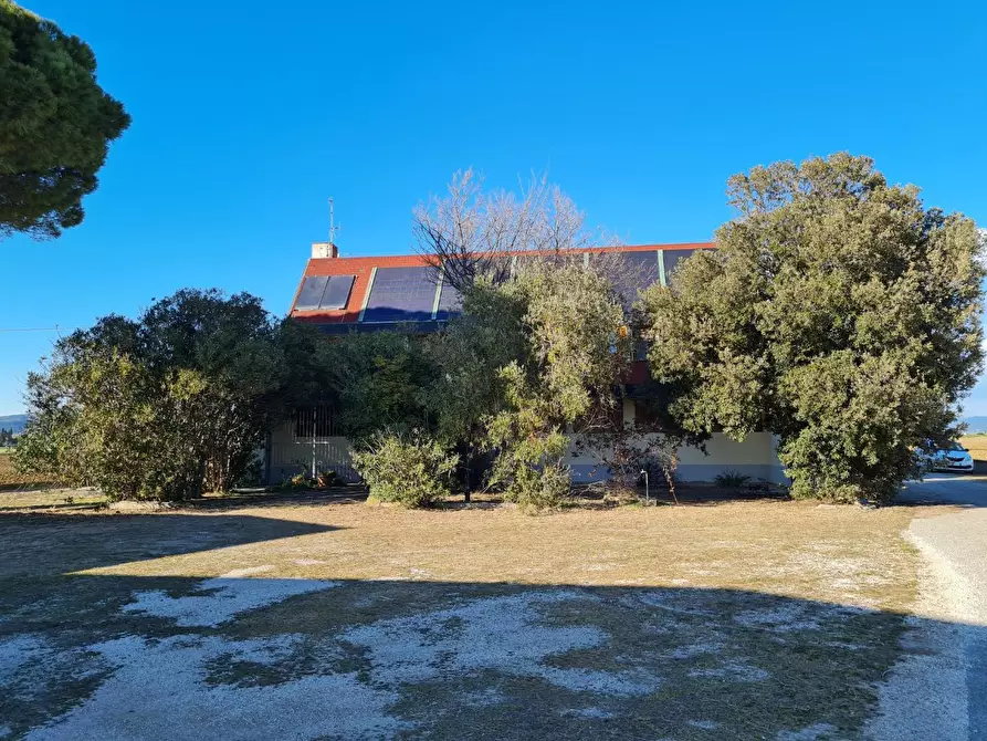 Immagine 3 di Appartamento in vendita  a Piombino