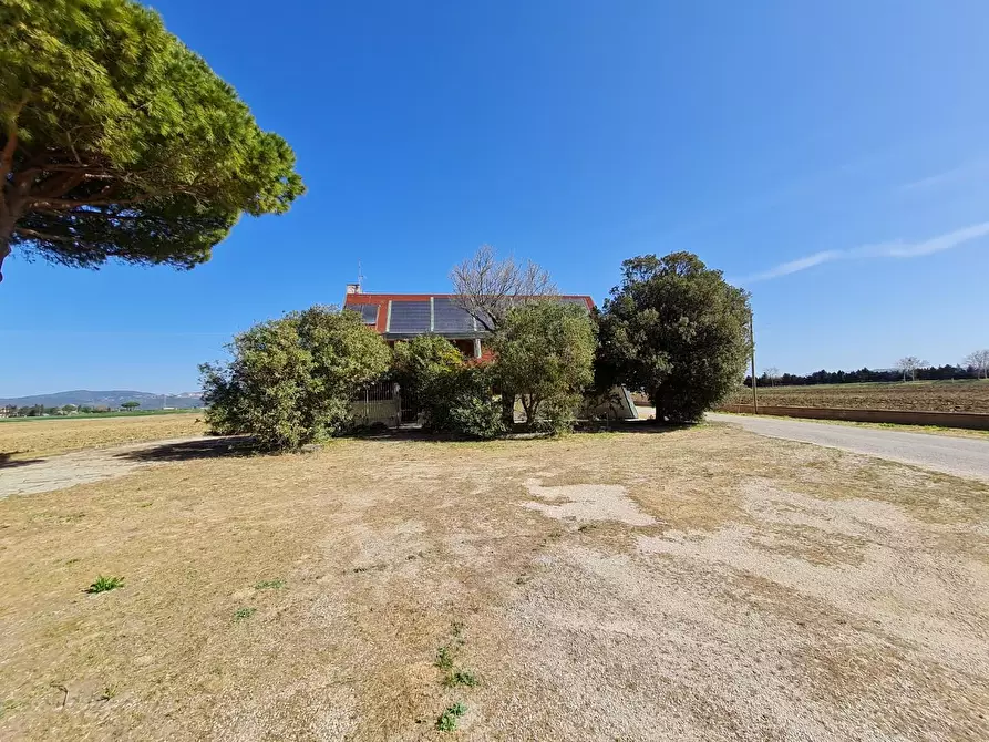 Immagine 6 di Appartamento in vendita  a Piombino