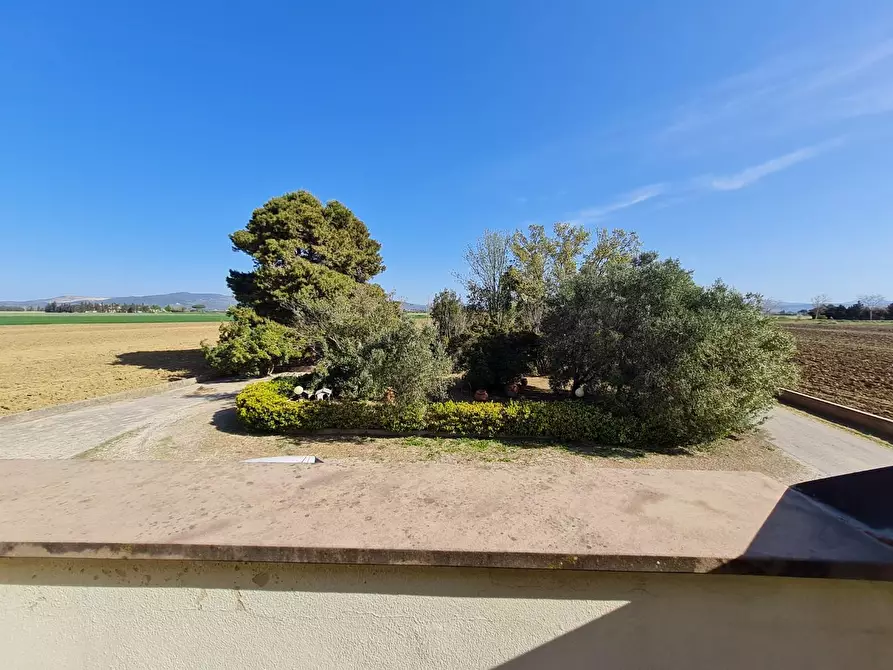 Immagine 8 di Appartamento in vendita  a Piombino