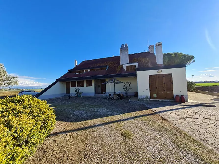 Immagine 2 di Appartamento in vendita  a Piombino