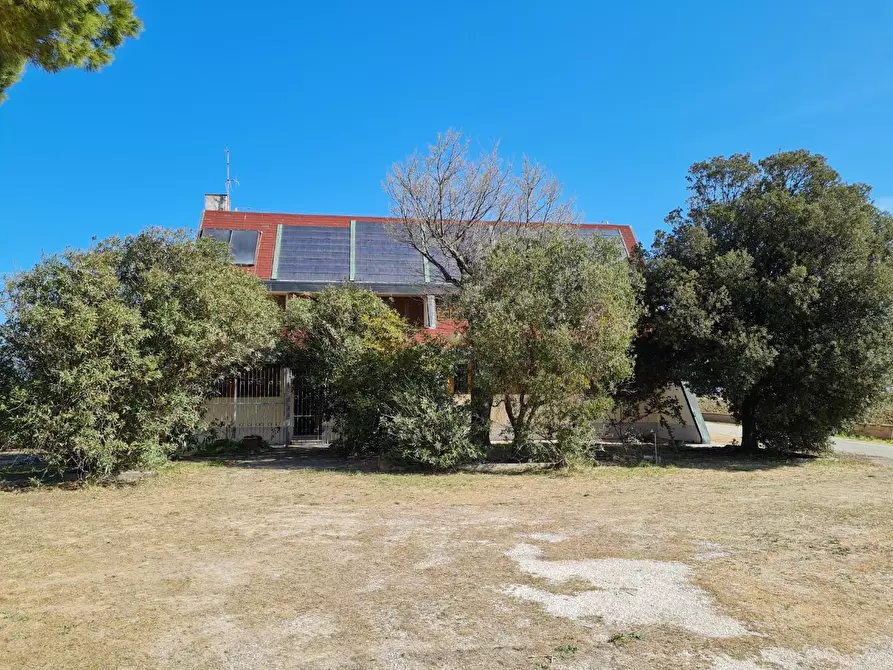 Immagine 7 di Appartamento in vendita  a Piombino