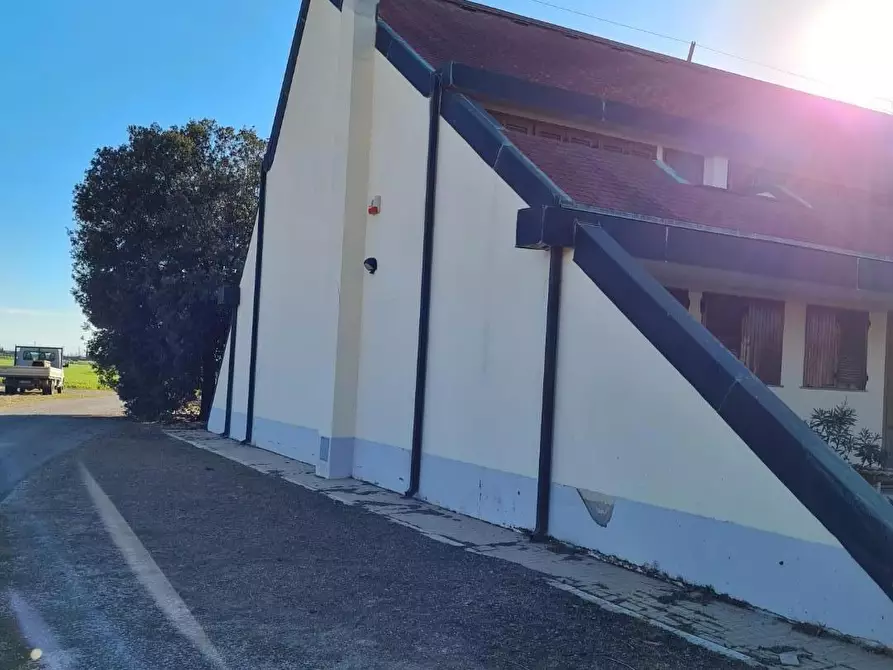 Immagine 4 di Appartamento in vendita  a Piombino