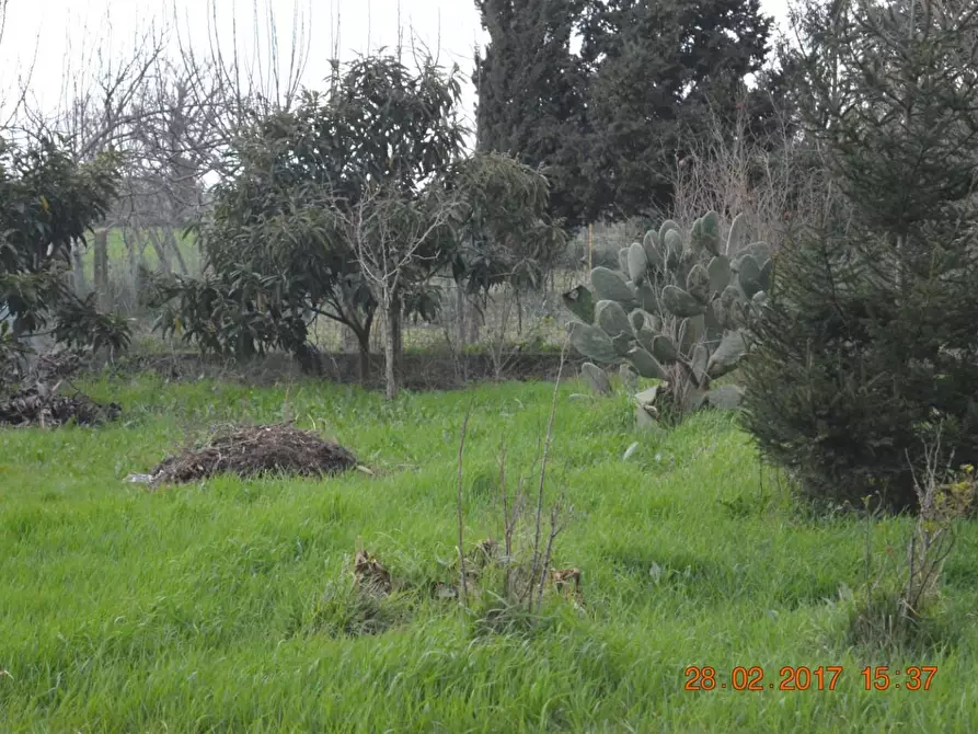 Immagine 22 di Casa colonica in vendita  a Cascina