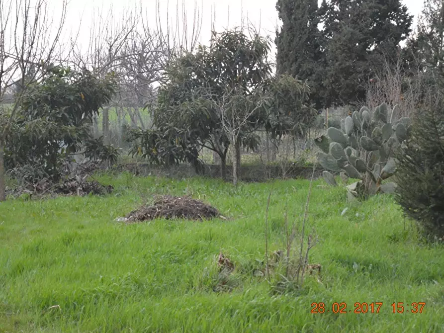 Immagine 24 di Casa colonica in vendita  a Cascina