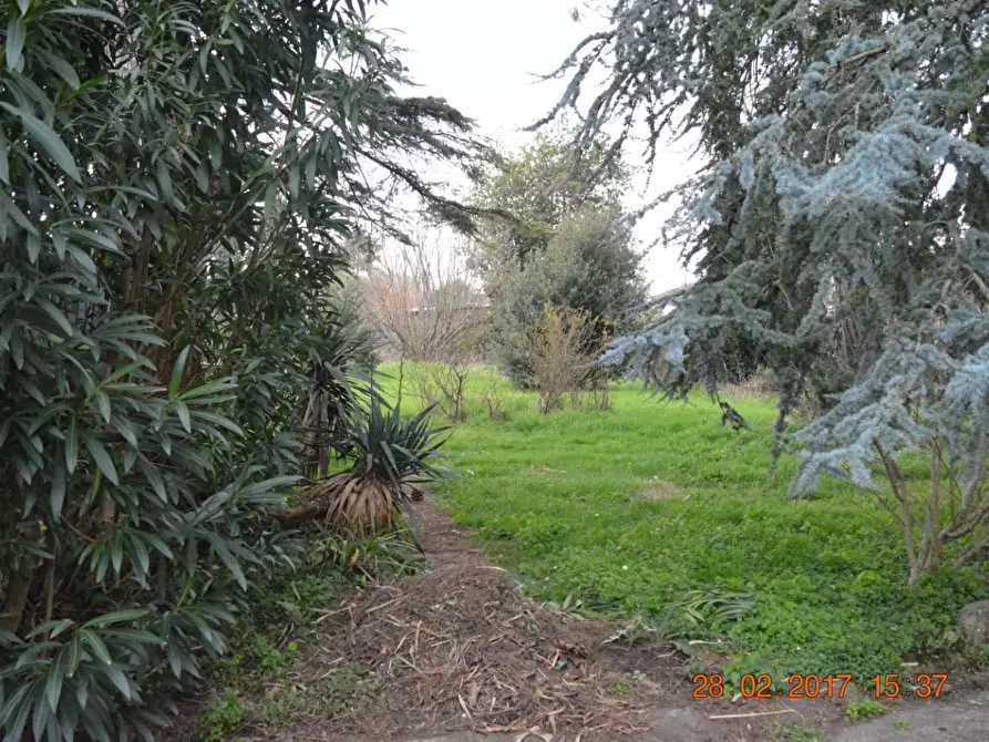 Immagine 21 di Casa colonica in vendita  a Cascina