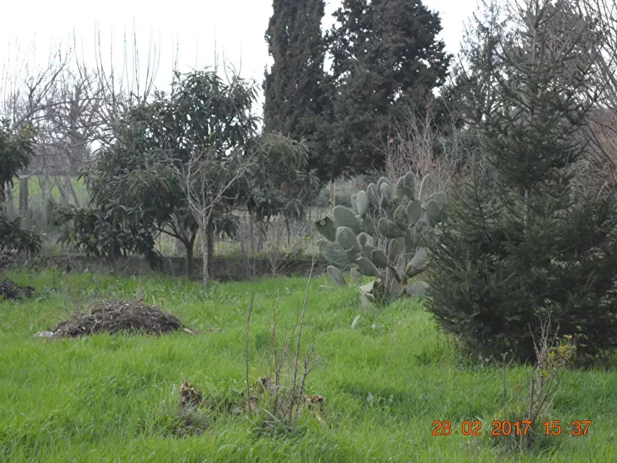 Immagine 23 di Casa colonica in vendita  a Cascina