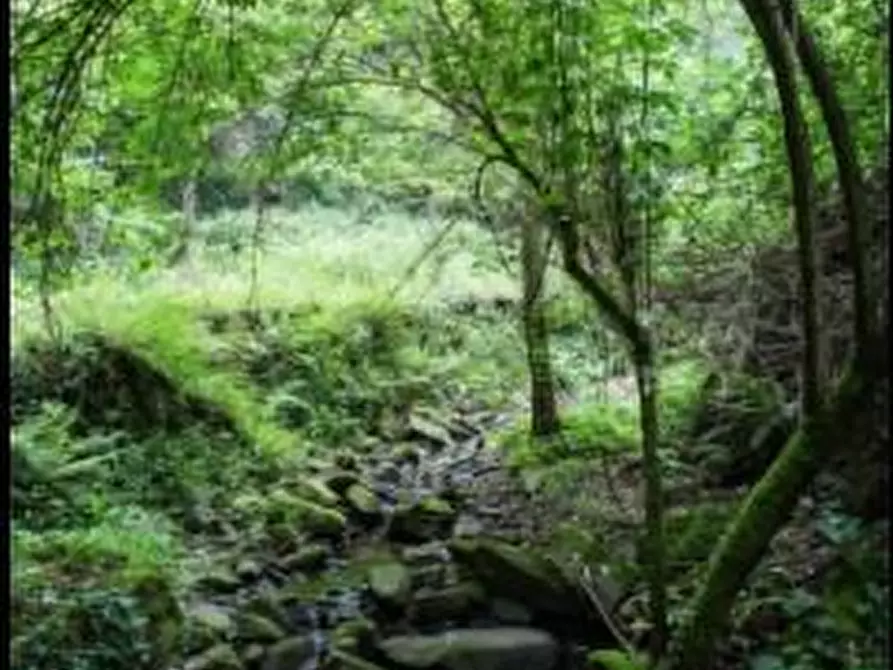 Immagine 11 di Casa colonica in vendita  a Vinci