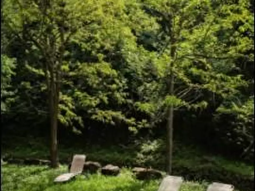 Immagine 10 di Casa colonica in vendita  a Vinci