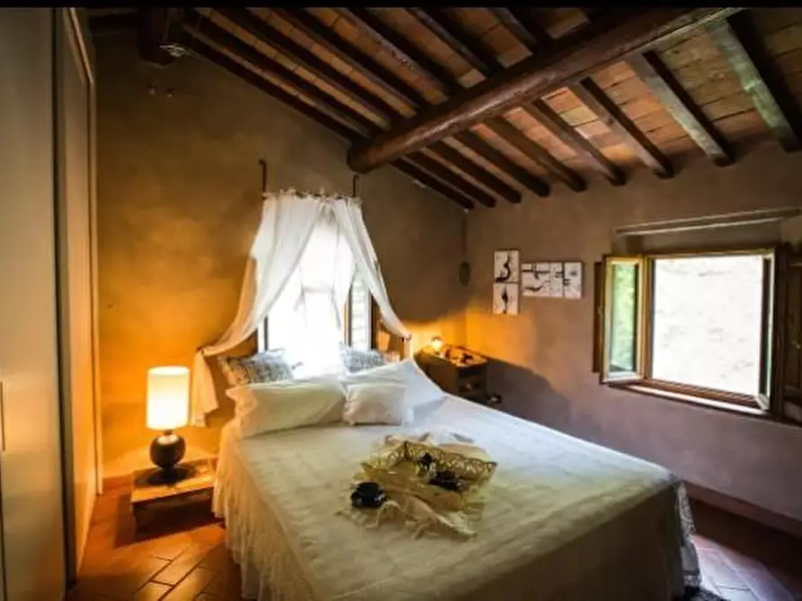 Immagine 16 di Casa colonica in vendita  a Vinci