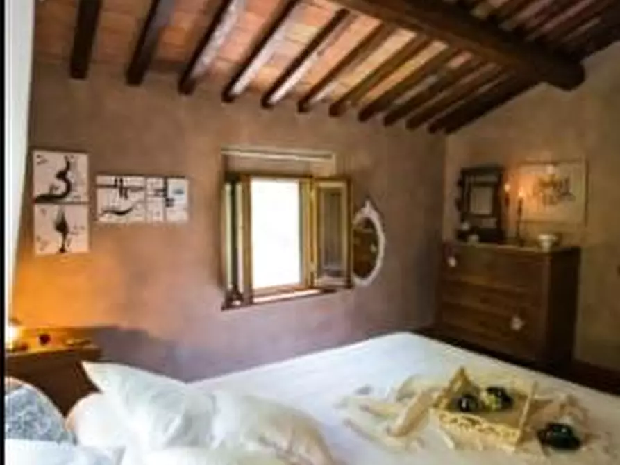 Immagine 22 di Casa colonica in vendita  a Vinci