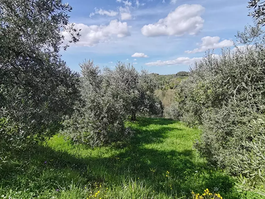 Immagine 33 di Villa in vendita  a Pontedera