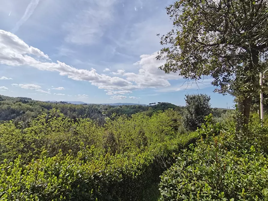 Immagine 14 di Villa in vendita  a Pontedera