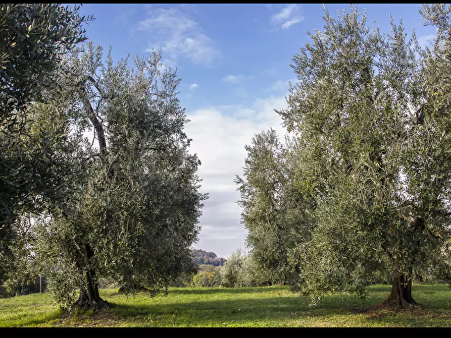 Immagine 28 di Villa in vendita  a Pontedera