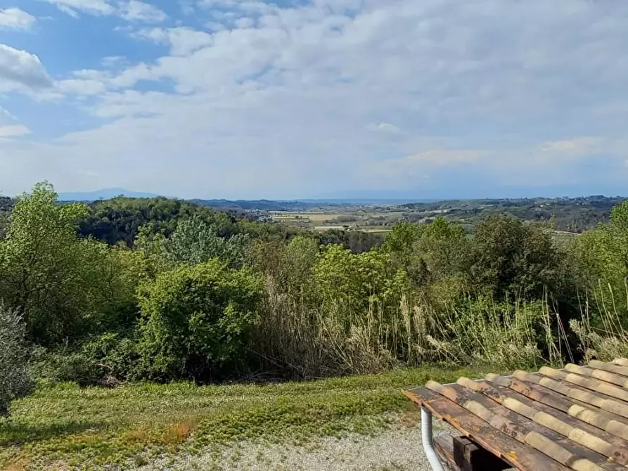 Immagine 2 di Azienda agricola in vendita  a San Miniato