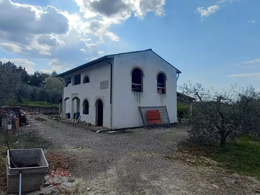 Immagine 1 di Azienda agricola in vendita  a San Miniato