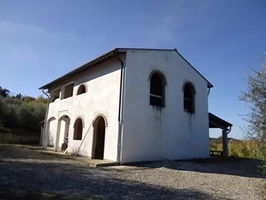 Immagine 4 di Azienda agricola in vendita  a San Miniato