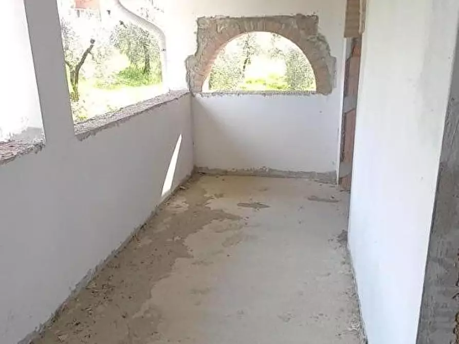 Immagine 6 di Azienda agricola in vendita  a San Miniato