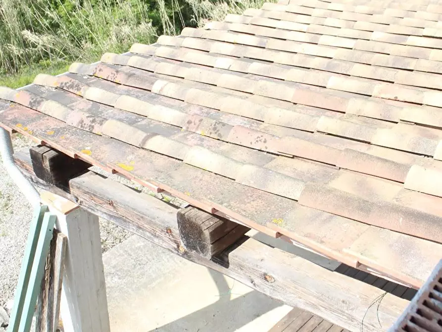 Immagine 12 di Azienda agricola in vendita  a San Miniato