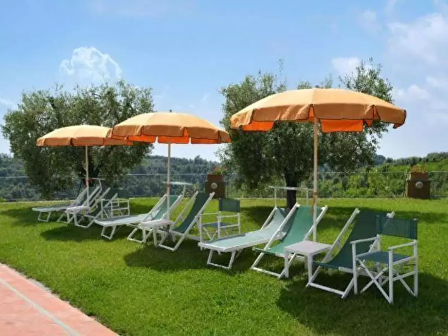 Immagine 8 di Agriturismo in vendita  a Pontedera