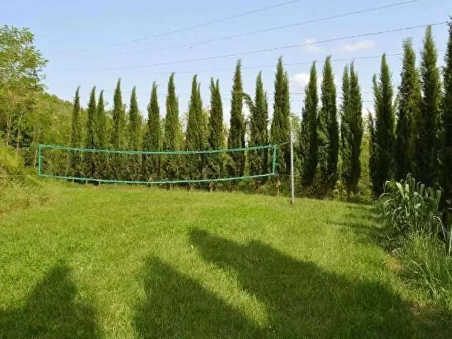 Immagine 4 di Agriturismo in vendita  a Pontedera