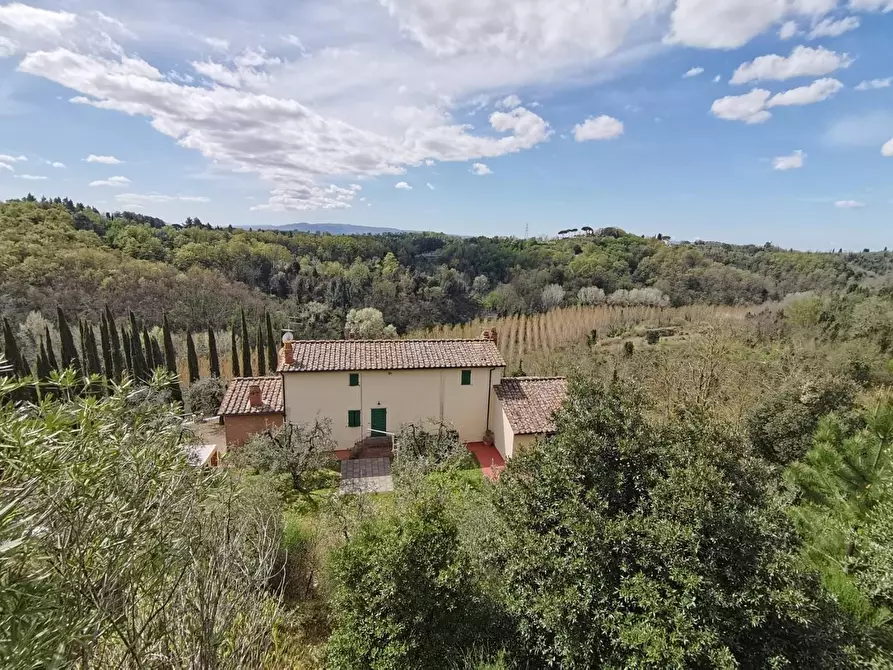 Immagine 32 di Agriturismo in vendita  a Pontedera
