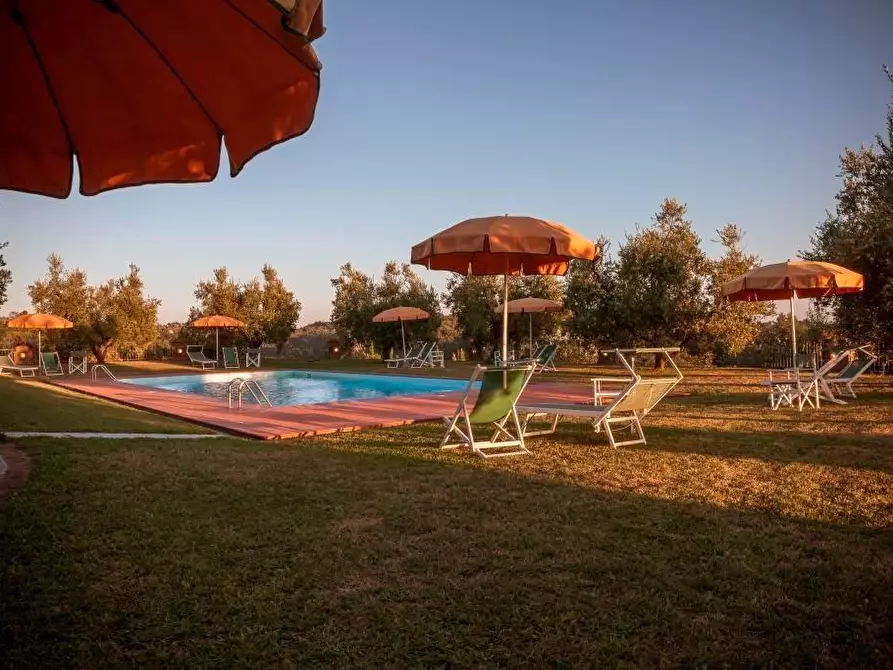 Immagine 23 di Agriturismo in vendita  a Pontedera