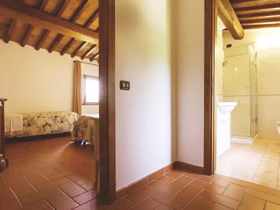 Immagine 19 di Agriturismo in vendita  a Pontedera