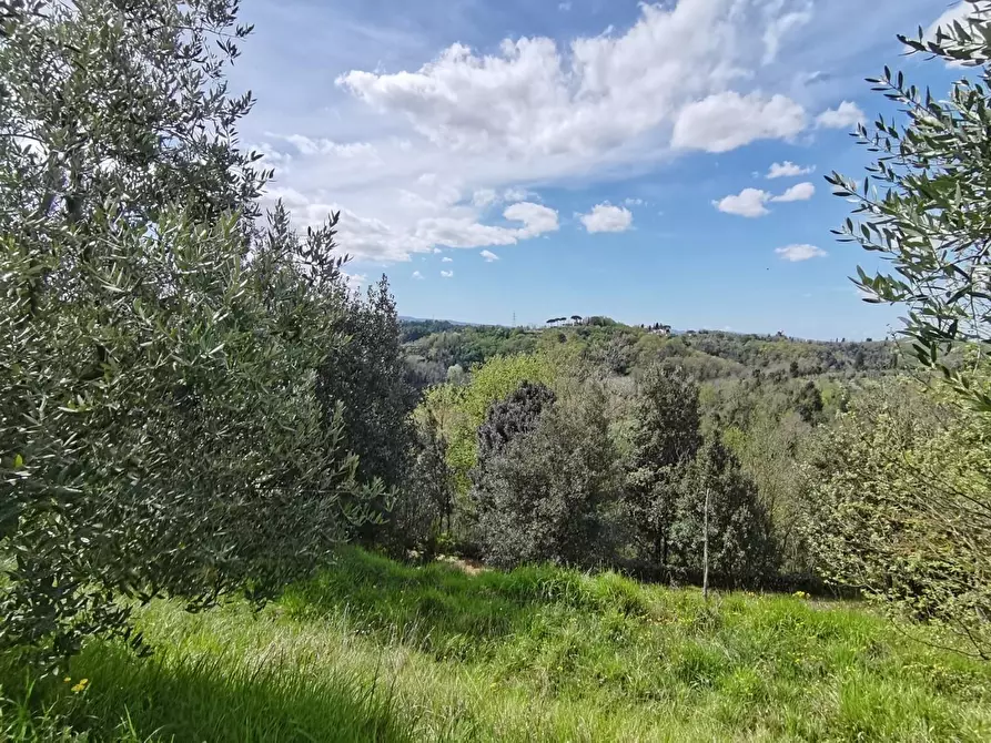 Immagine 9 di Agriturismo in vendita  a Pontedera