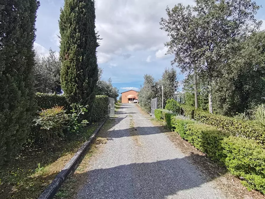 Immagine 28 di Agriturismo in vendita  a Pontedera