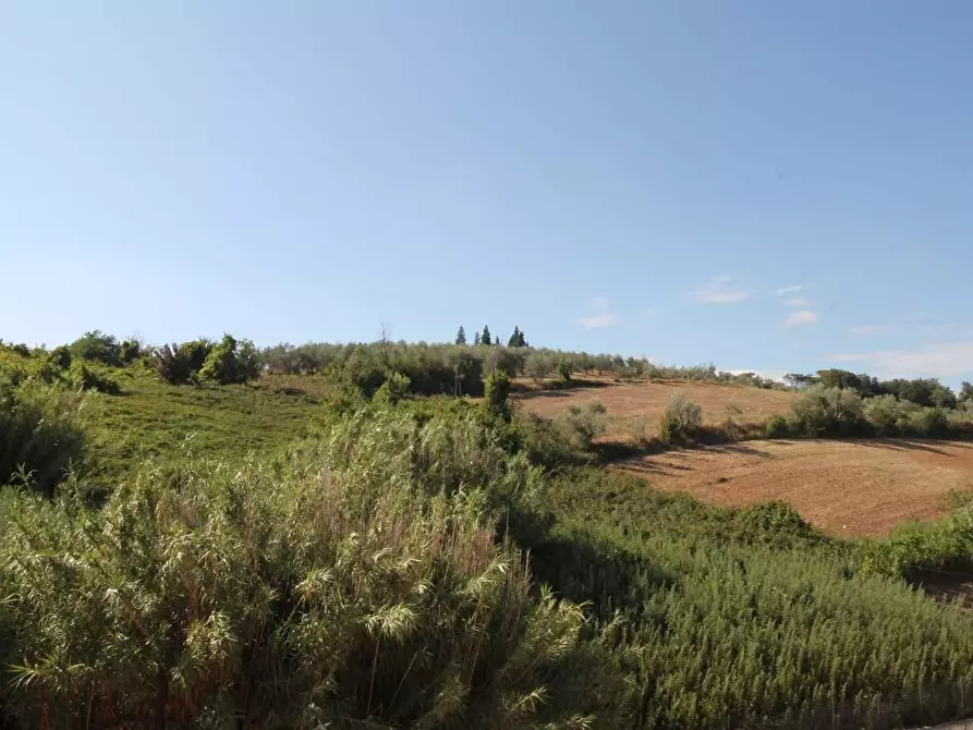 Immagine 38 di Appartamento in vendita  a Vinci