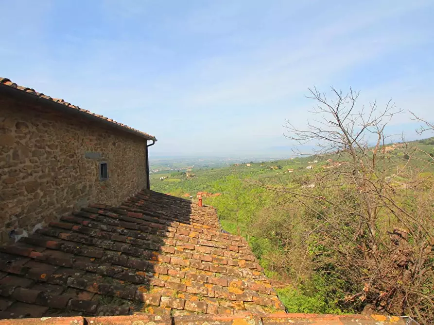 Immagine 29 di Casa colonica in vendita  a Vinci