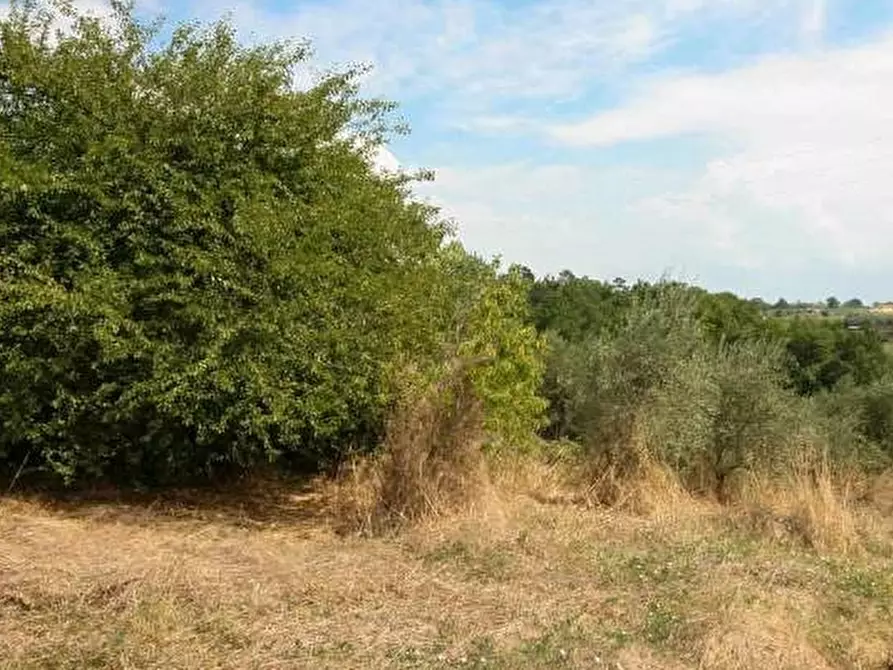 Immagine 15 di Rustico / casale in vendita  a Vinci