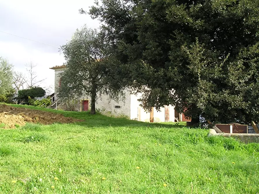 Immagine 17 di Rustico / casale in vendita  a Vinci