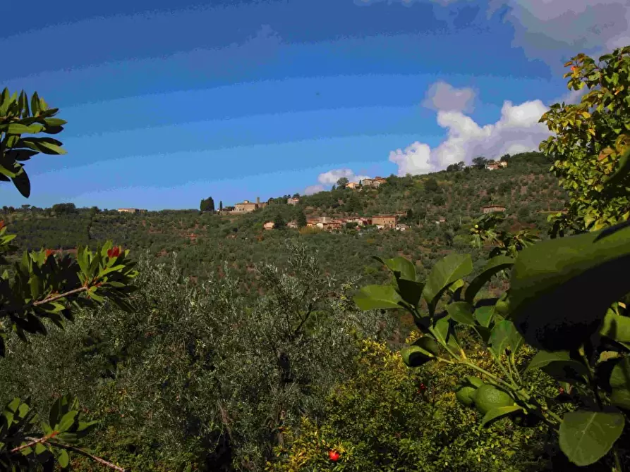 Immagine 25 di Casa colonica in vendita  a Vinci