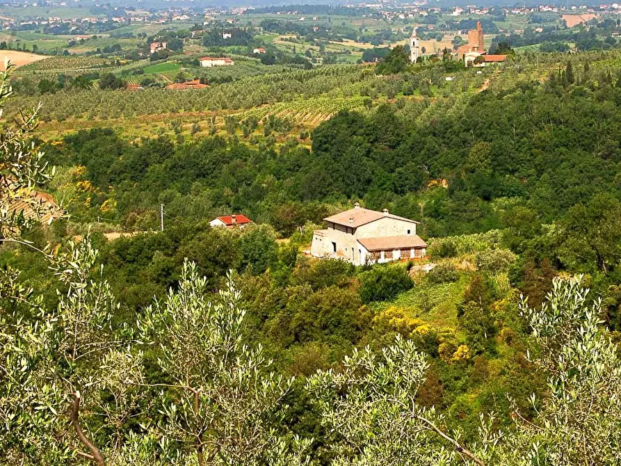 Immagine 4 di Casa colonica in vendita  a Vinci