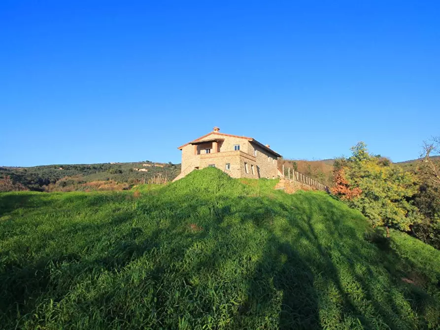 Immagine 21 di Casa colonica in vendita  a Vinci