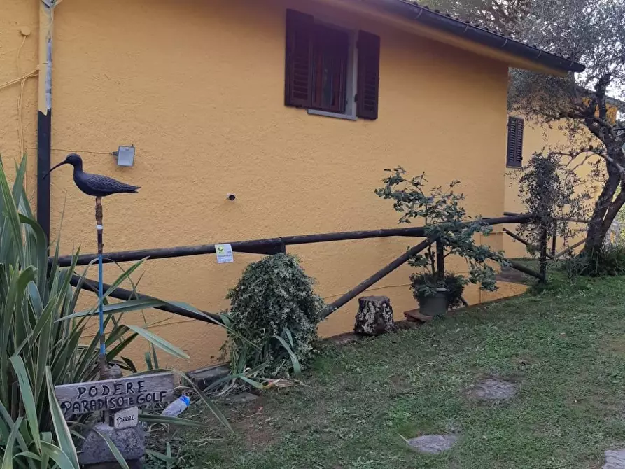 Immagine 13 di Casa colonica in vendita  a Monsummano Terme